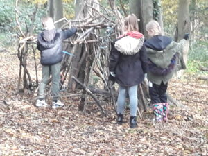 Shelter Building